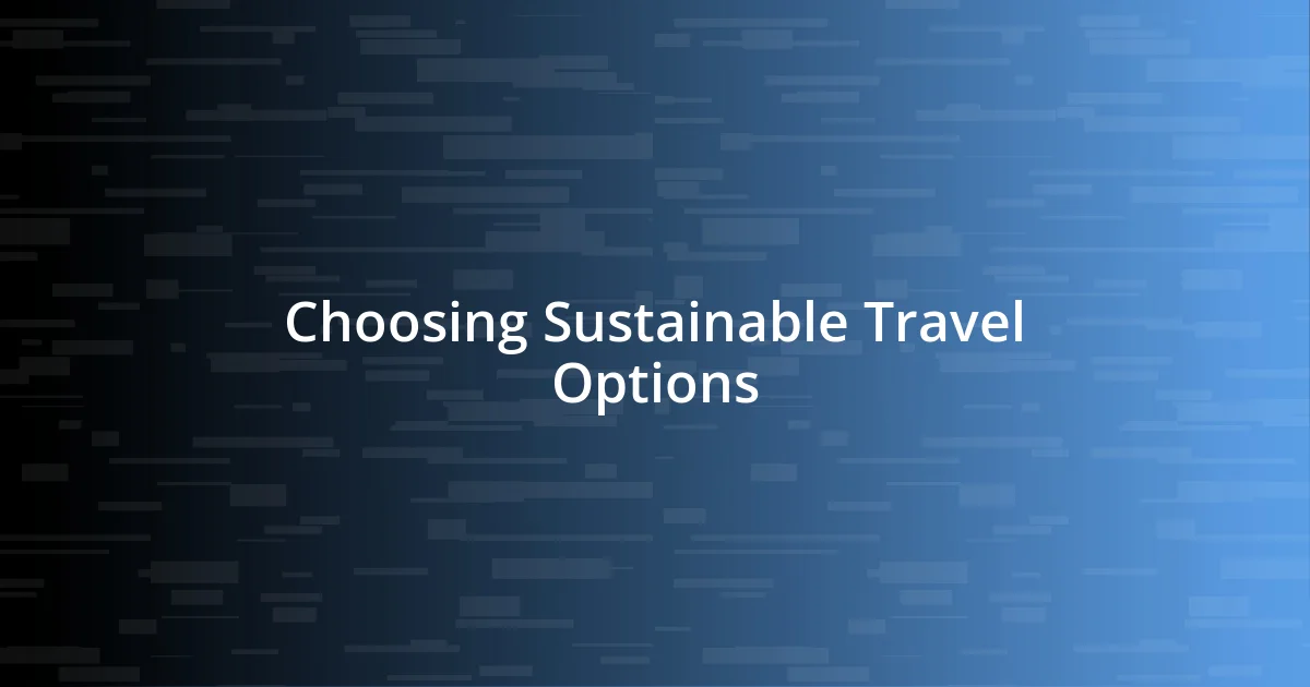 Choosing Sustainable Travel Options