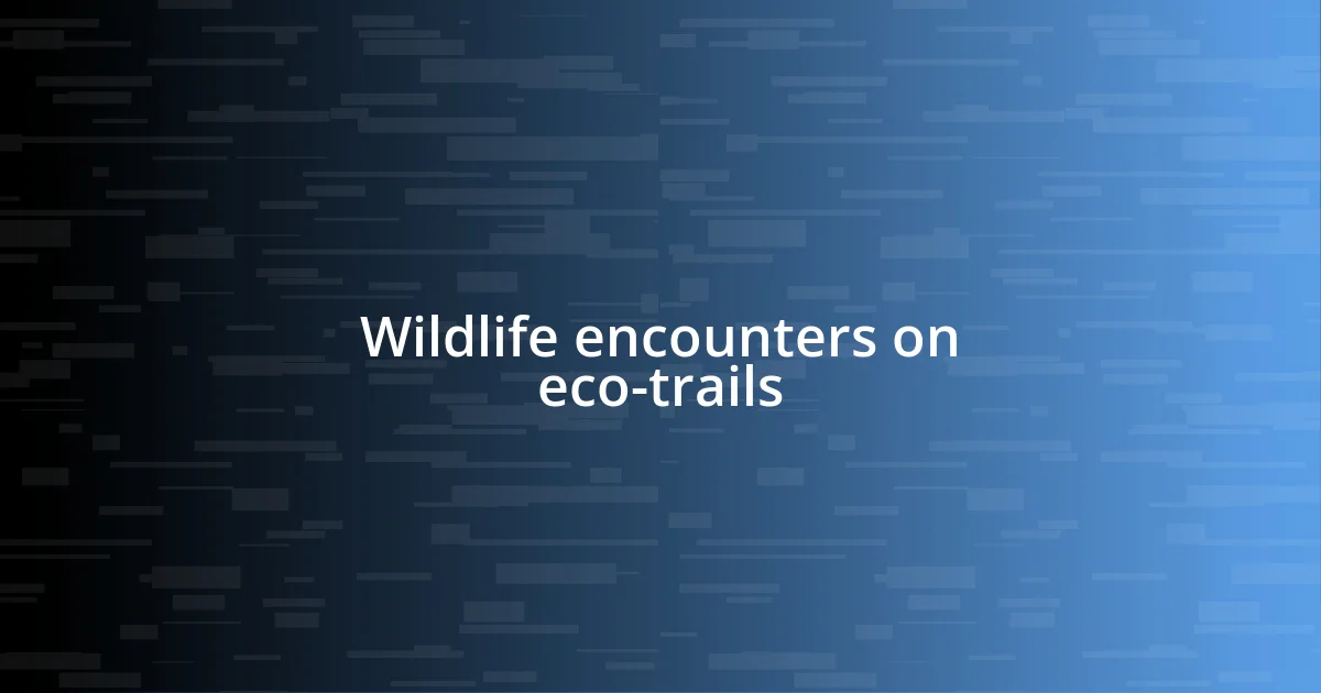 Wildlife encounters on eco-trails