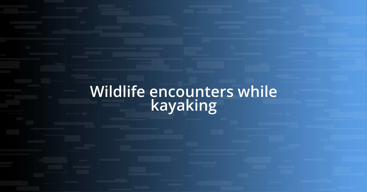 Wildlife encounters while kayaking