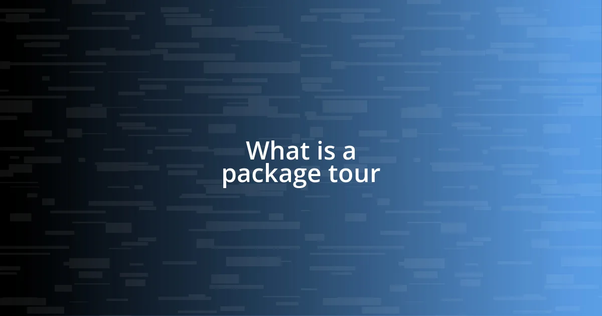 What is a package tour